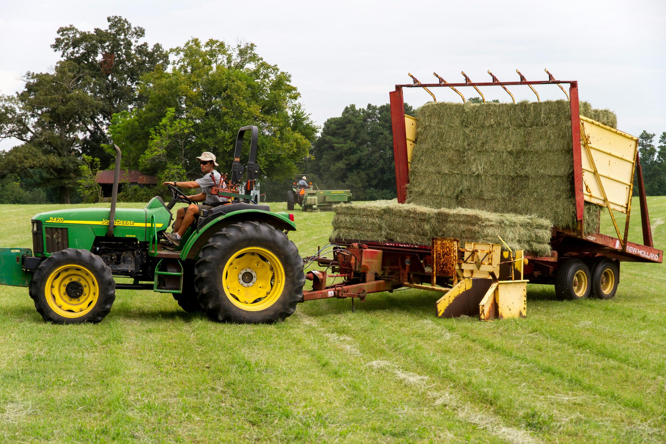 pexels-nc-farm-bureau-mark-2253359